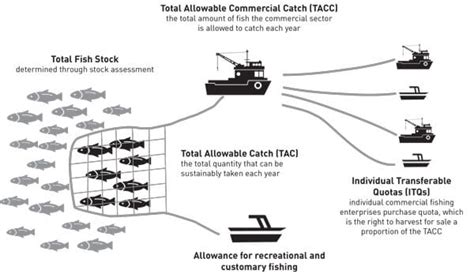 Requirements for NZ commercial fishers .